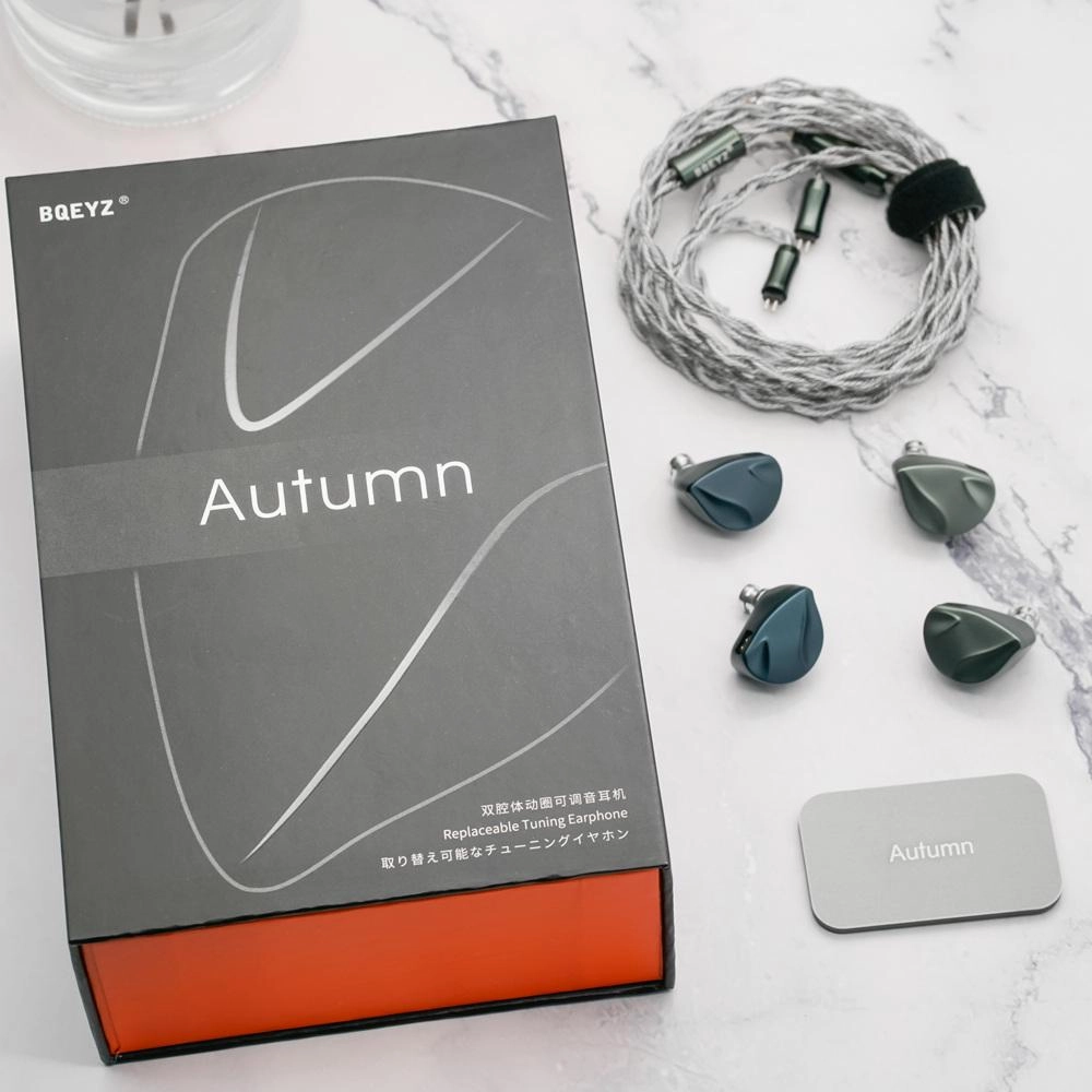 BQEYZ Autumn 13mm Dynamic Driver IEMs